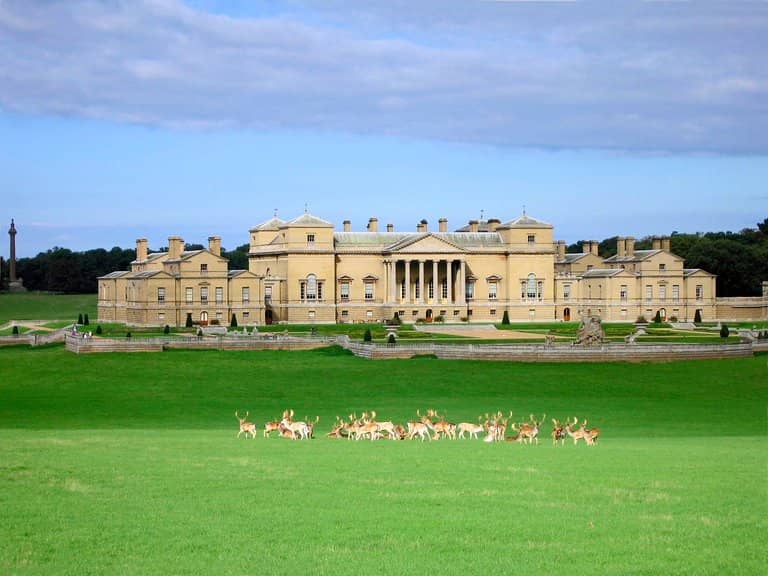 The Magnificent House