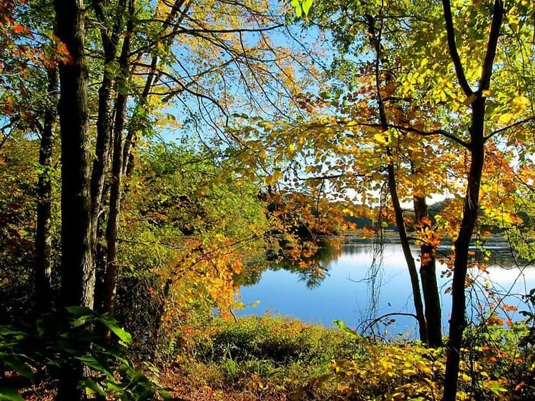 Woodland Trails