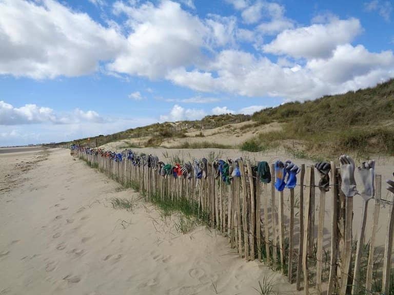 Dune Scenery