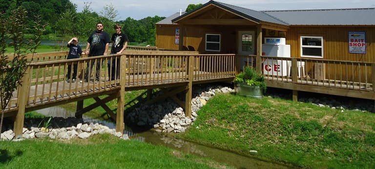 Bald Eagle Sightings