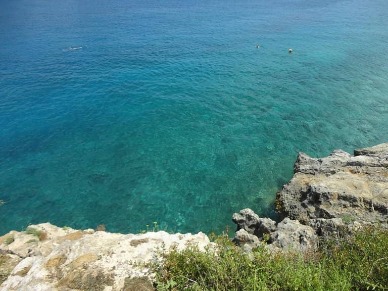 Vertical photo