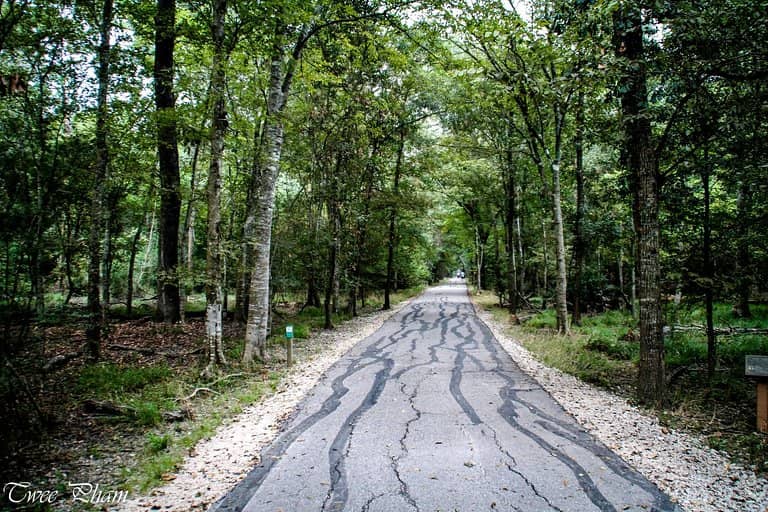 Nature Center & Live Exhibits