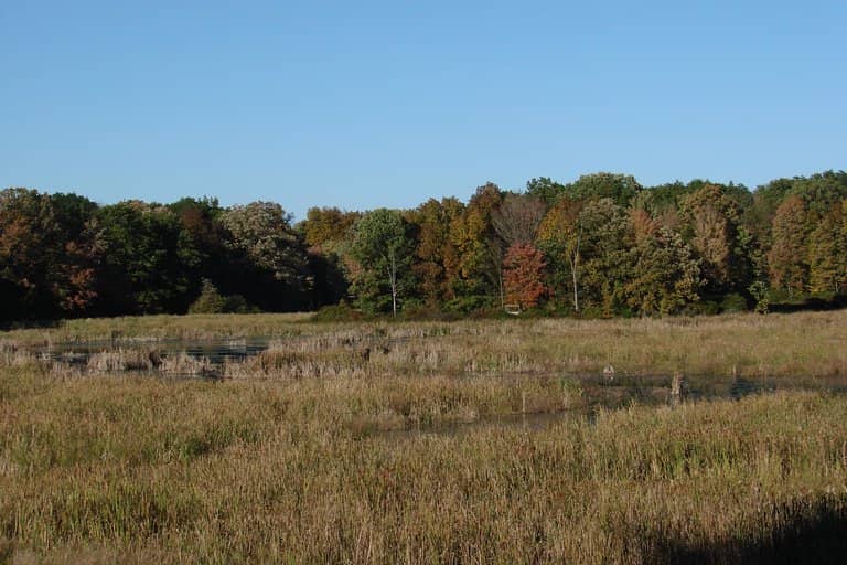 Raptor Rehabilitation Area