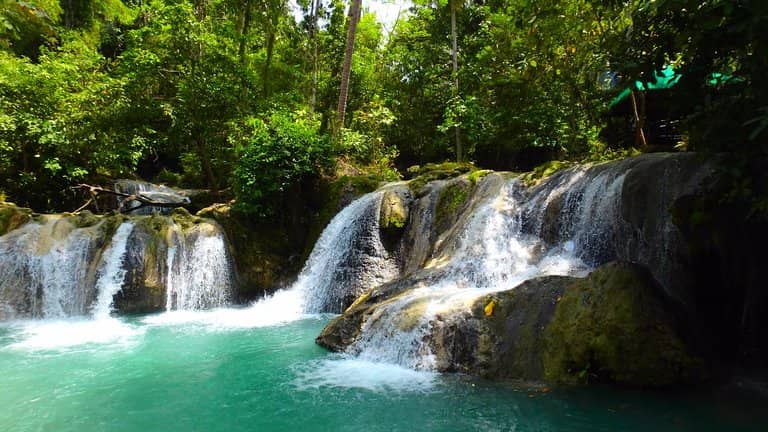 Natural Swimming Pools