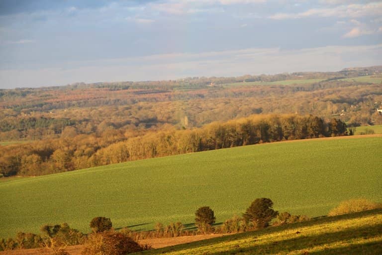 Panoramic Countryside Views
