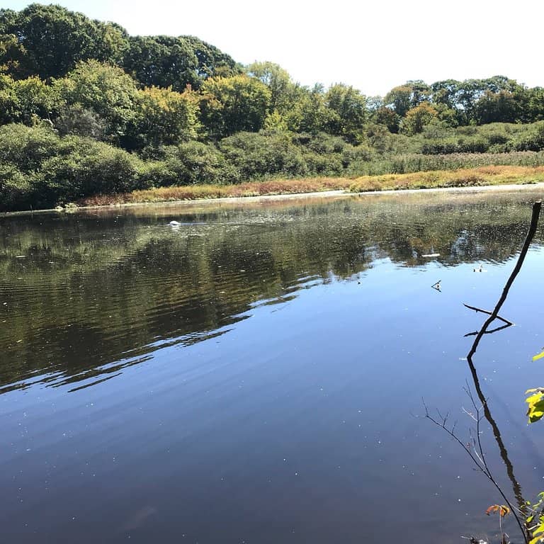 Crab Meadow Marsh Views