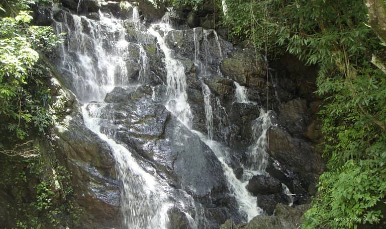 Vertical photo