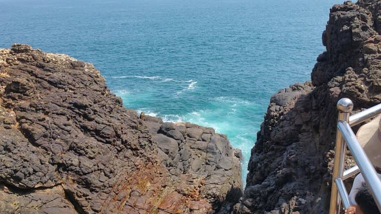 Vertical photo