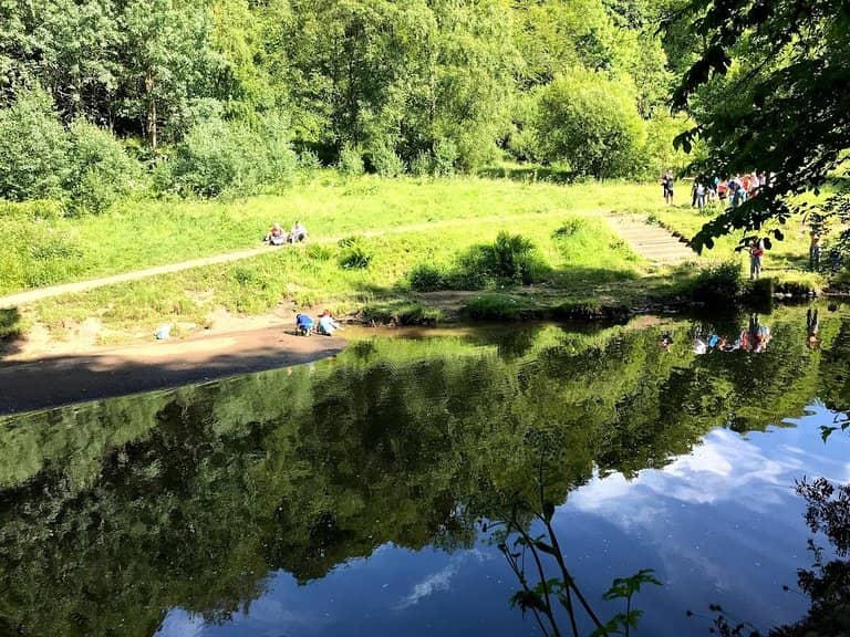 Expansive Woodland Trails