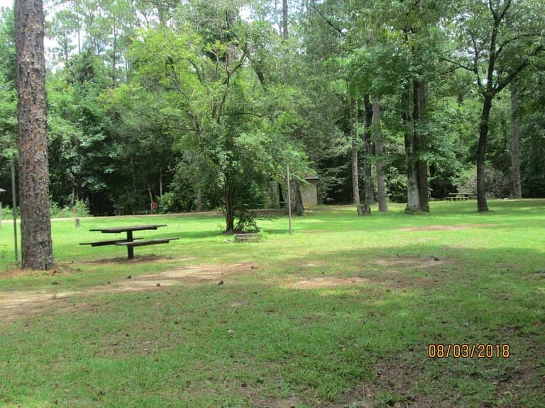 Secluded Campsites