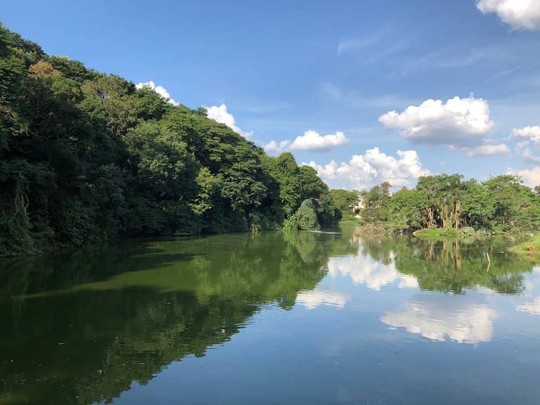 Lake with Fish