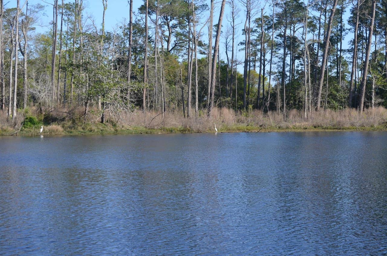 Wooded & Wetland Trails