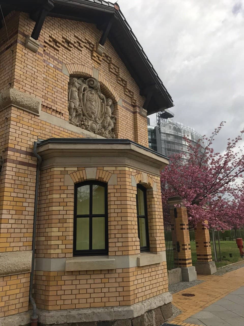 Behind-the-Scenes Studio Tour