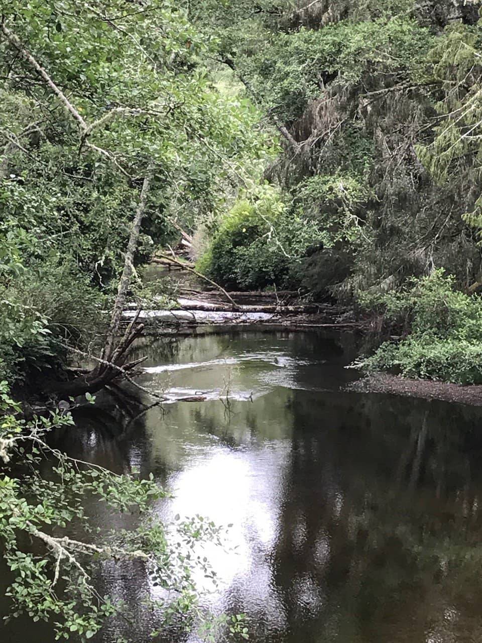 Remote Lakeside Camping