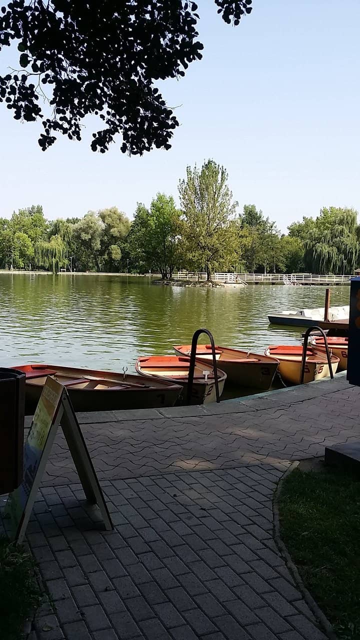 Experimental Sketches