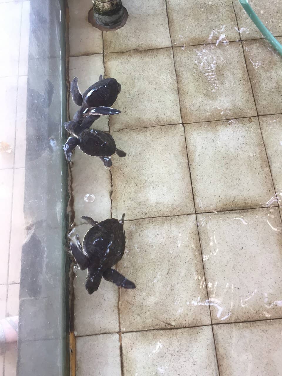 Eco-Conscious Conservation