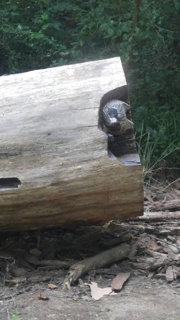 Granby Locks & Railroad Trestles