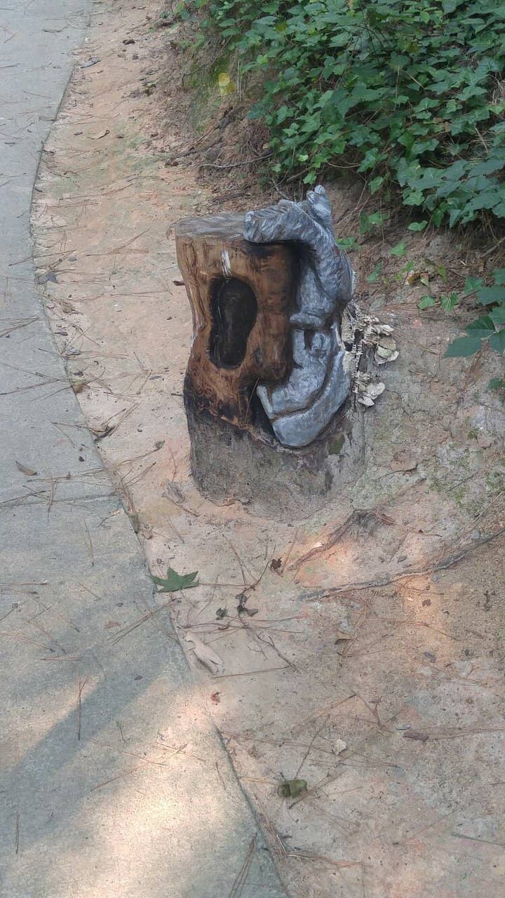 Picnic Shelters & Benches