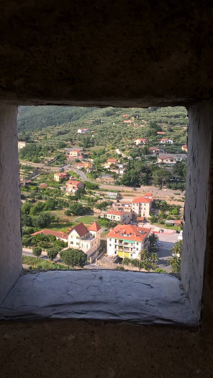 Vertical photo