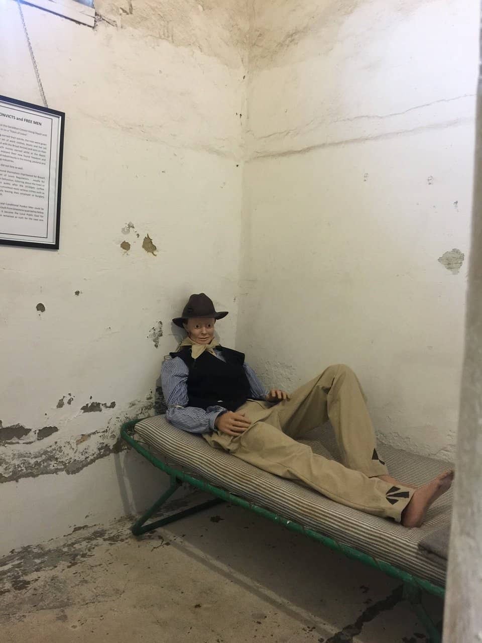 Rock and Mineral Collection