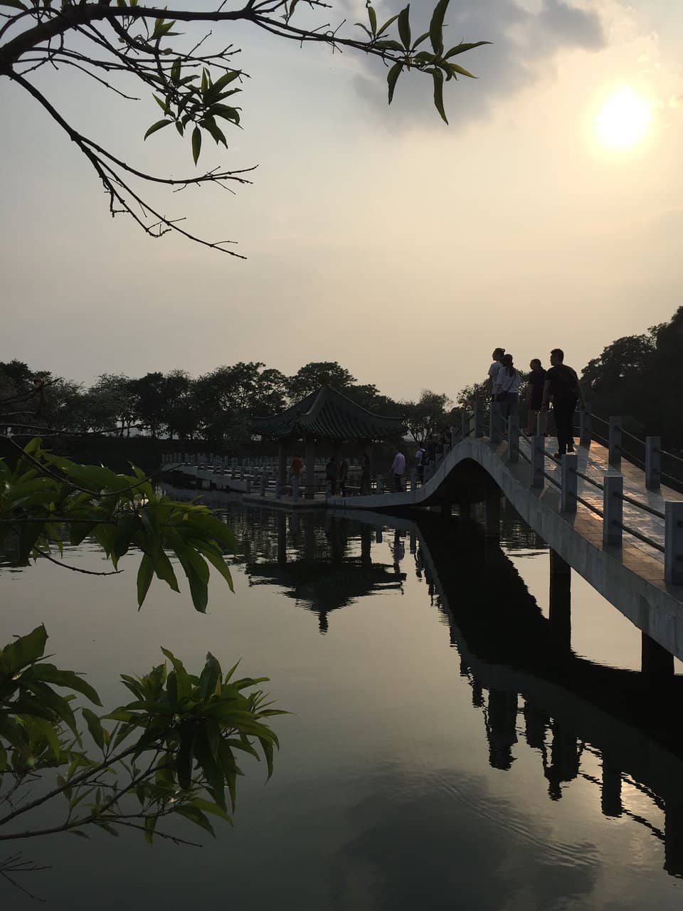 Vertical photo