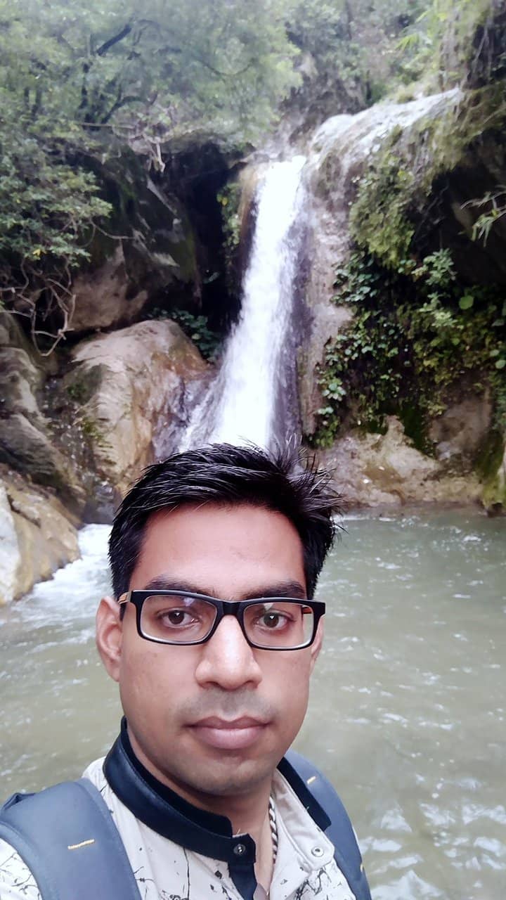 Jungle Trail Adventure