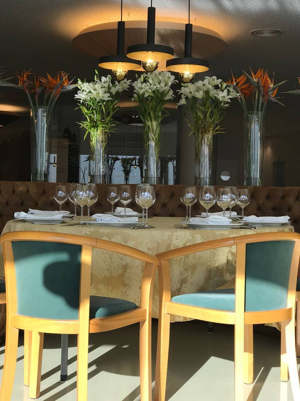 Concerts & Festivals