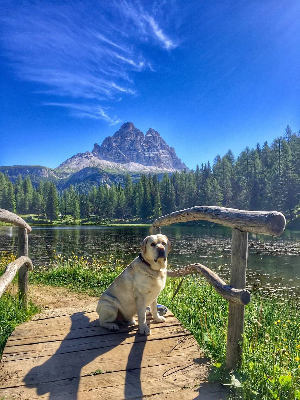 Lakeside Loop Trail