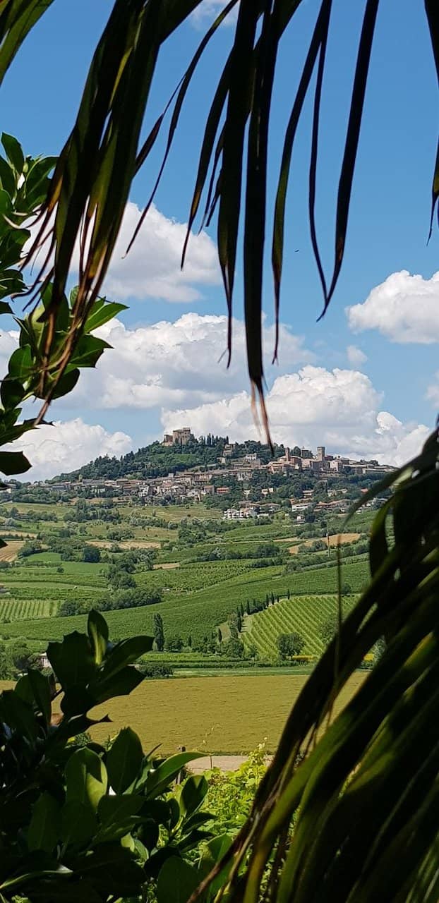 Panoramic Hillside Views