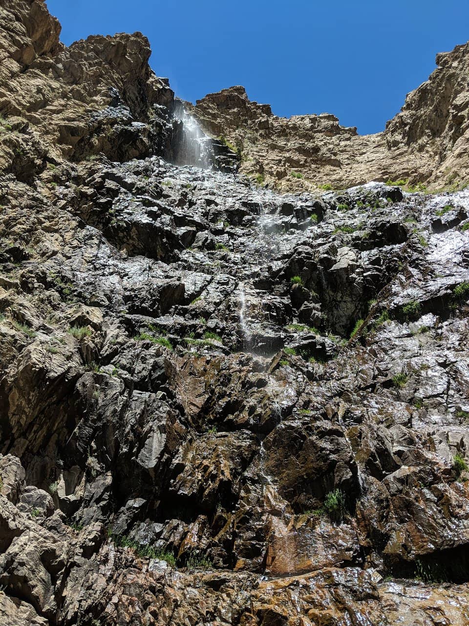 Vertical photo