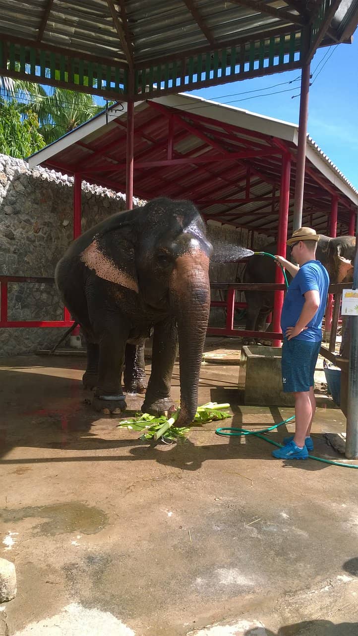 Feeding and Bathing Time