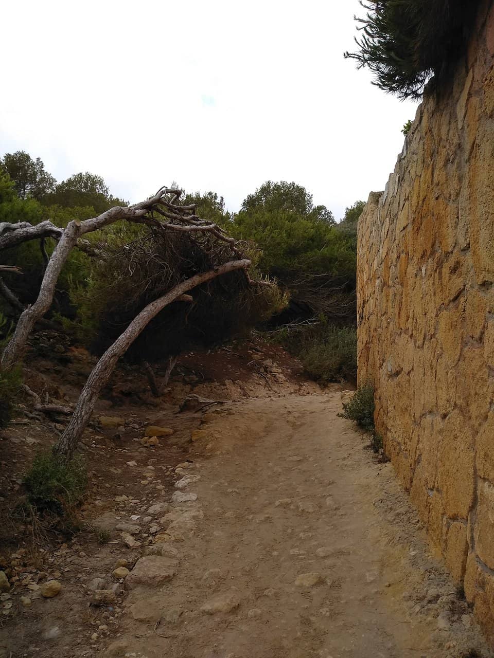 Crystal Clear Waters