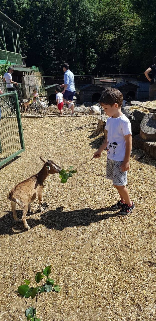 Hiking and Biking Trails