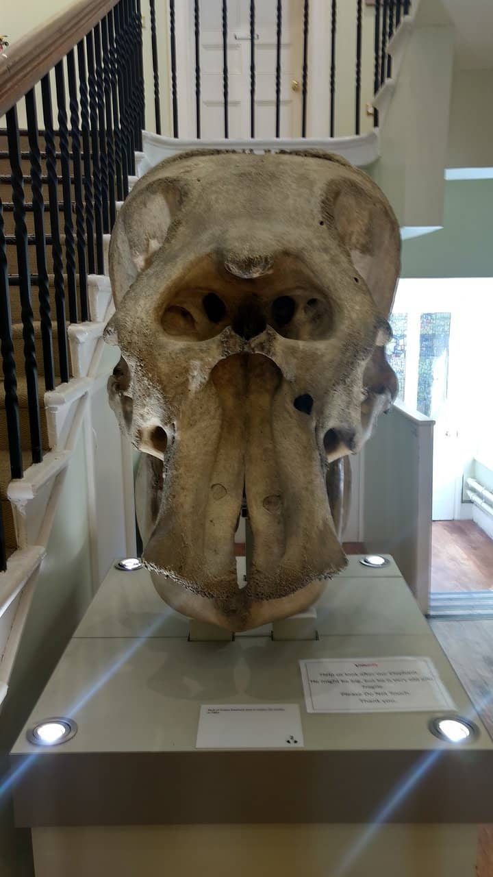 Third hero image