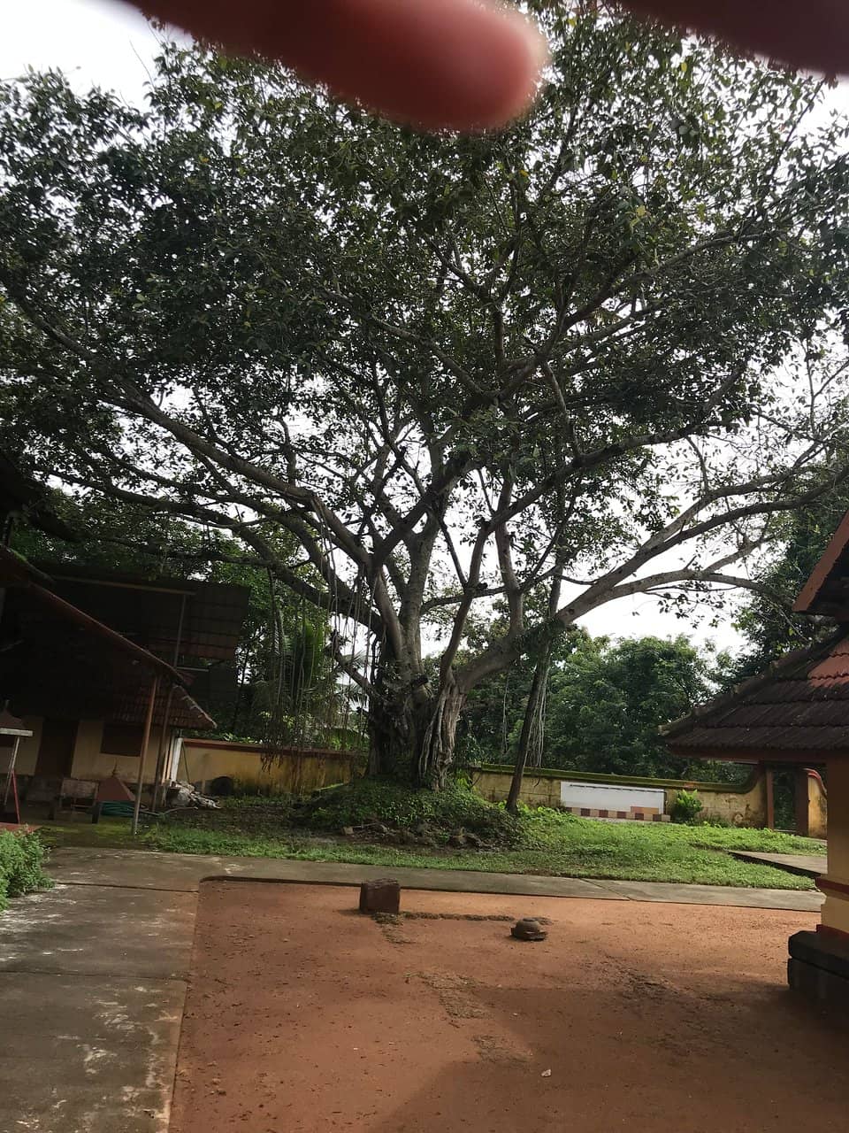 Replicas of Vaikom & Ettumanoor Deities