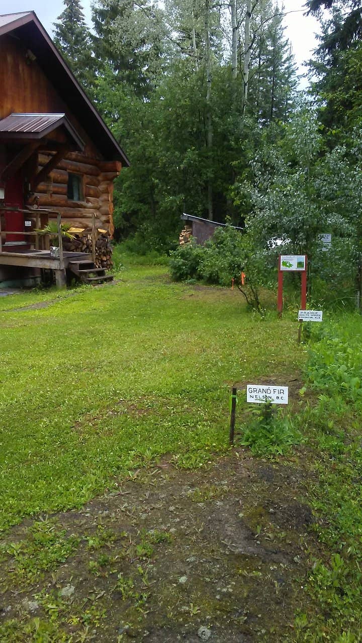 Music Museum & Archives