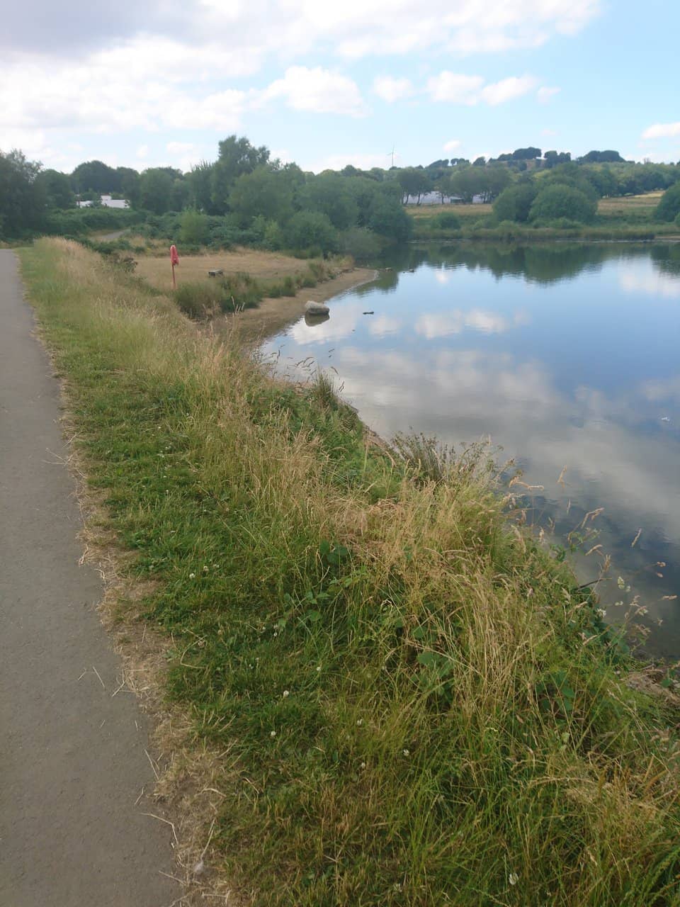 Dog-Friendly Strolls