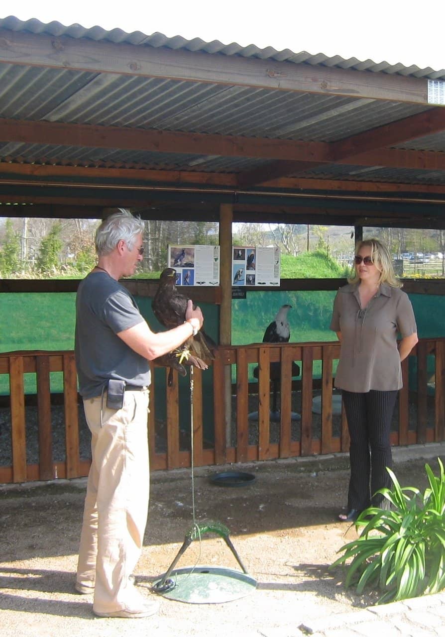 Close-Up Animal Encounters