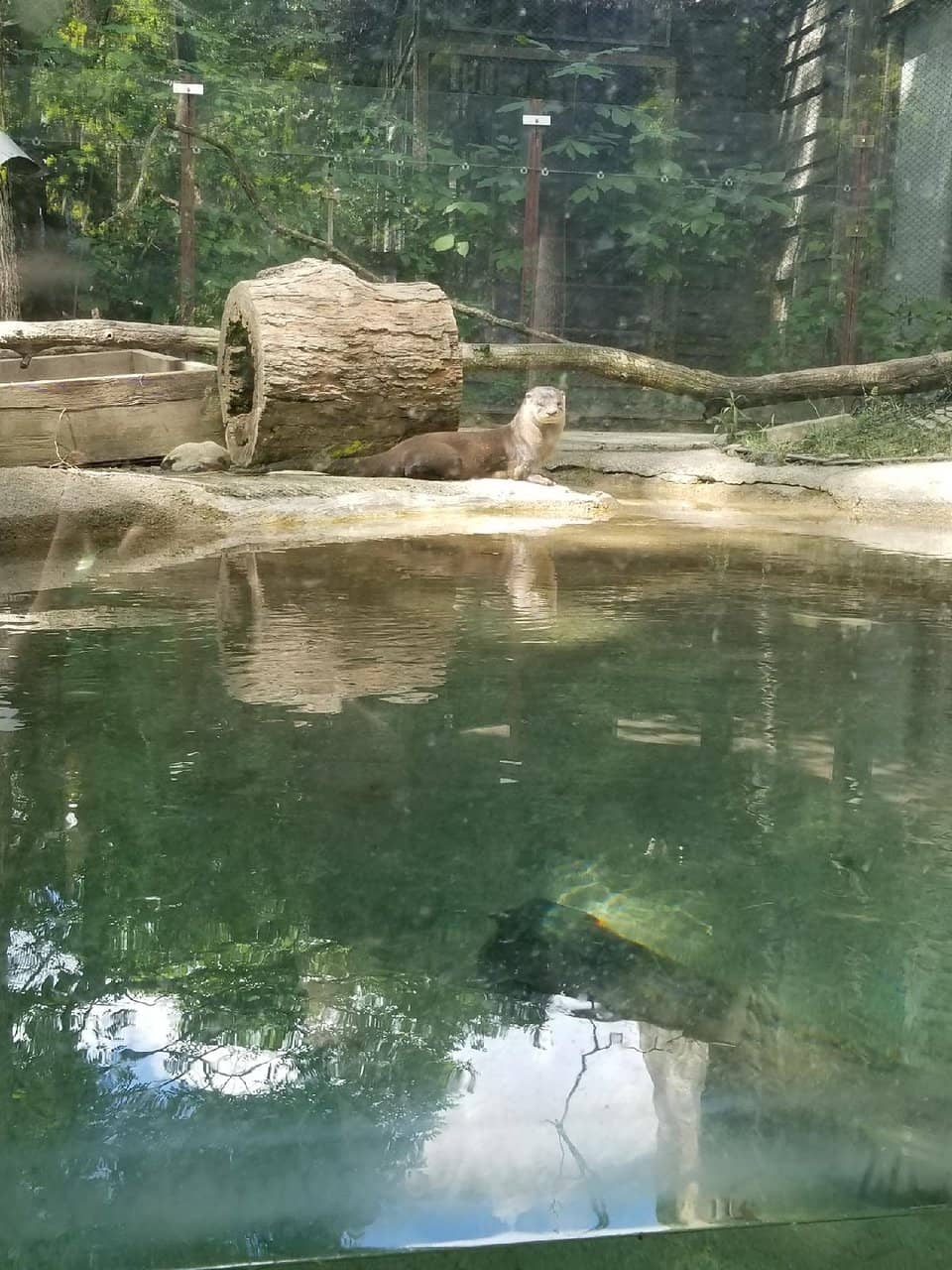 Botanical Gardens & Greenhouse