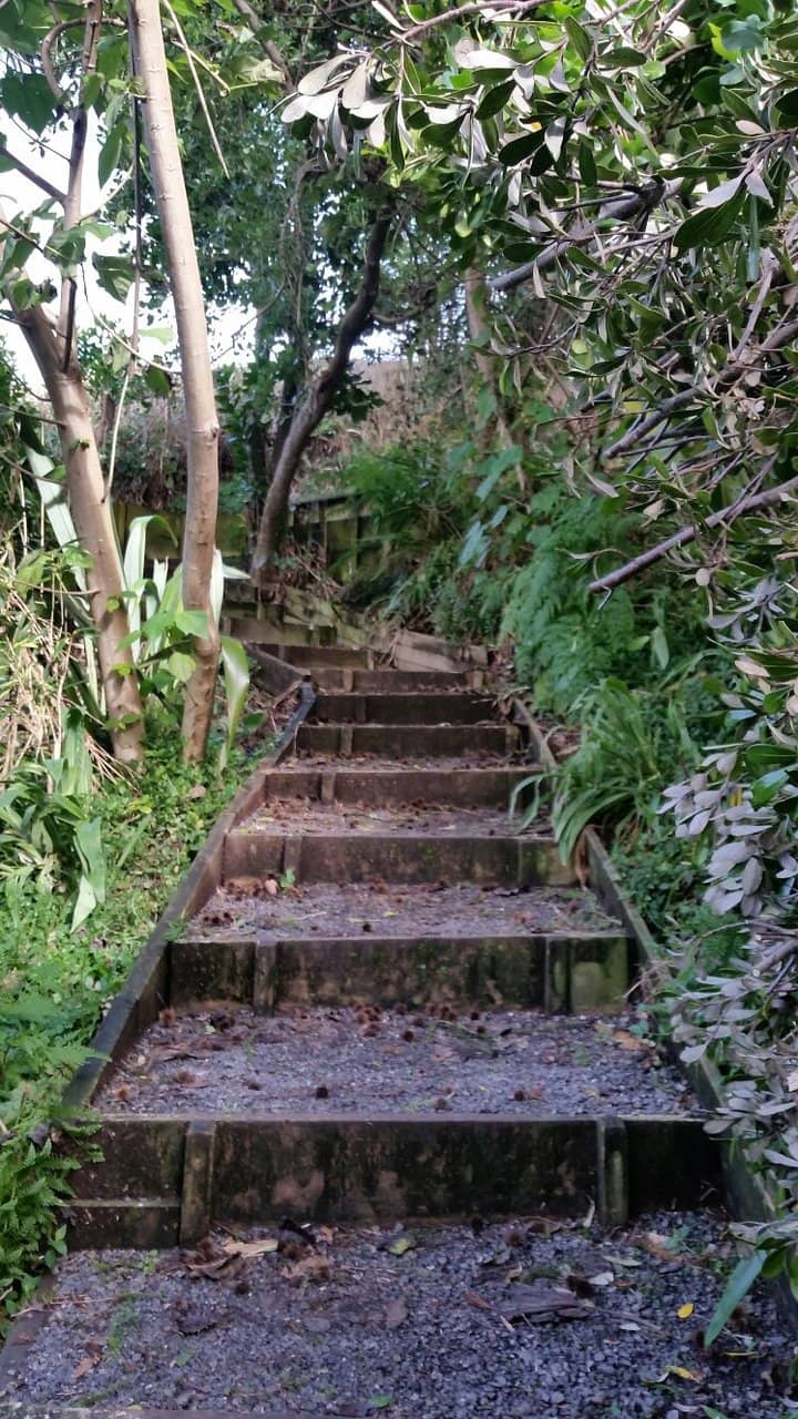 Vertical photo