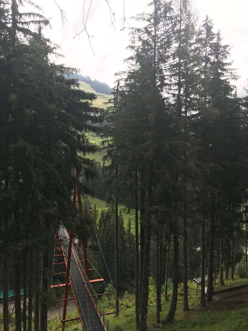 Extensive Rope Park Network