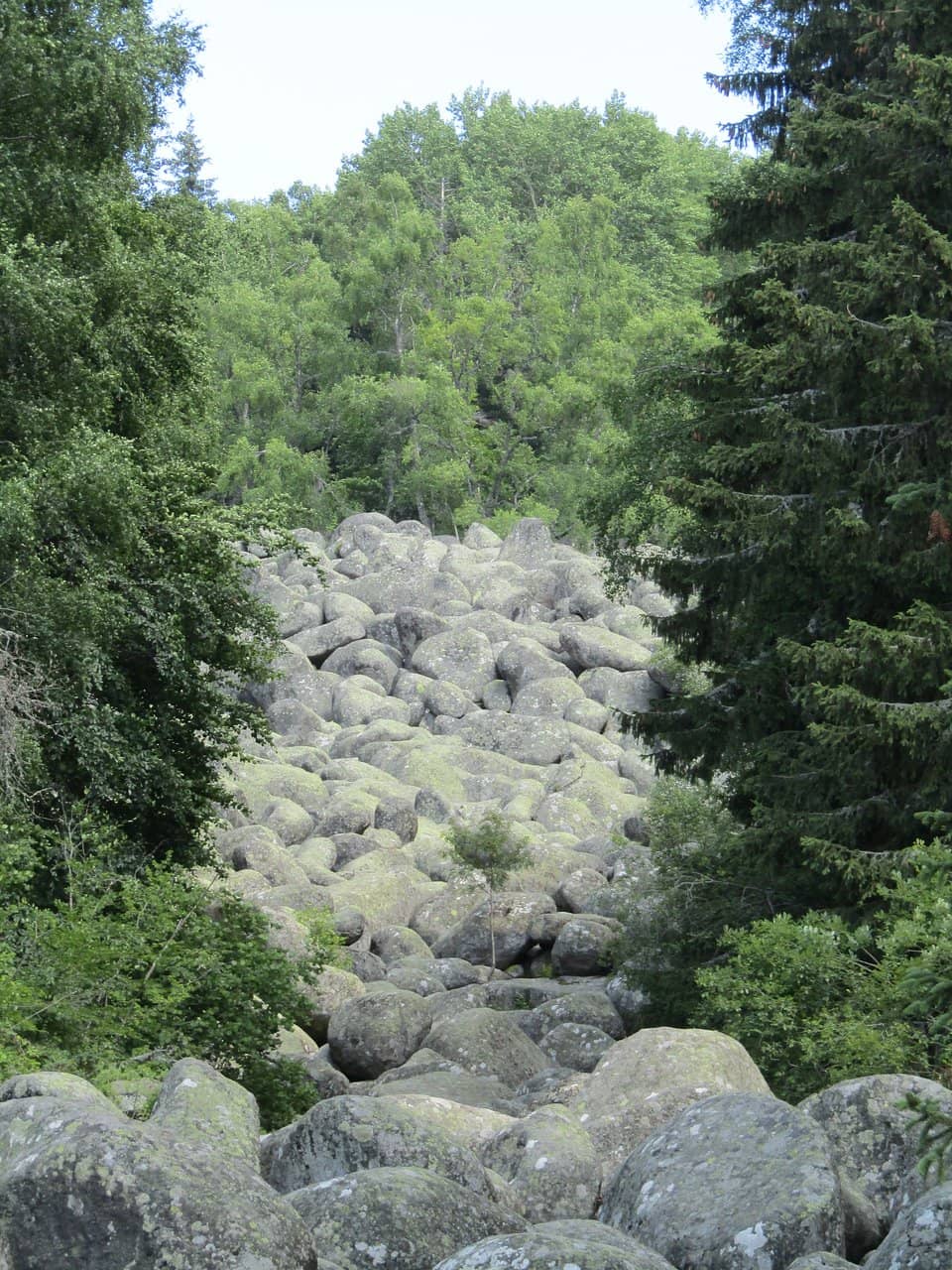 Picnic Spots