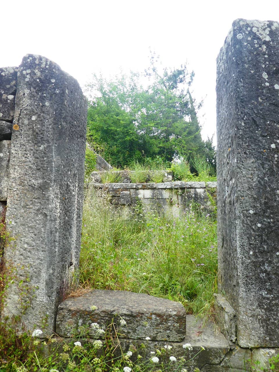 Vertical photo