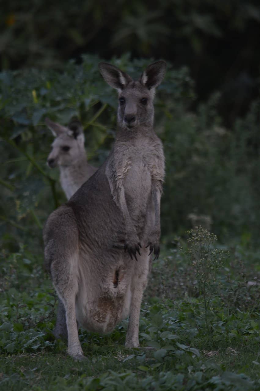 Hawkesbury River Views