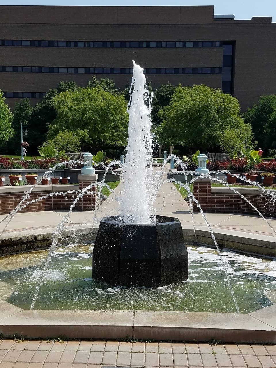 Rose Garden