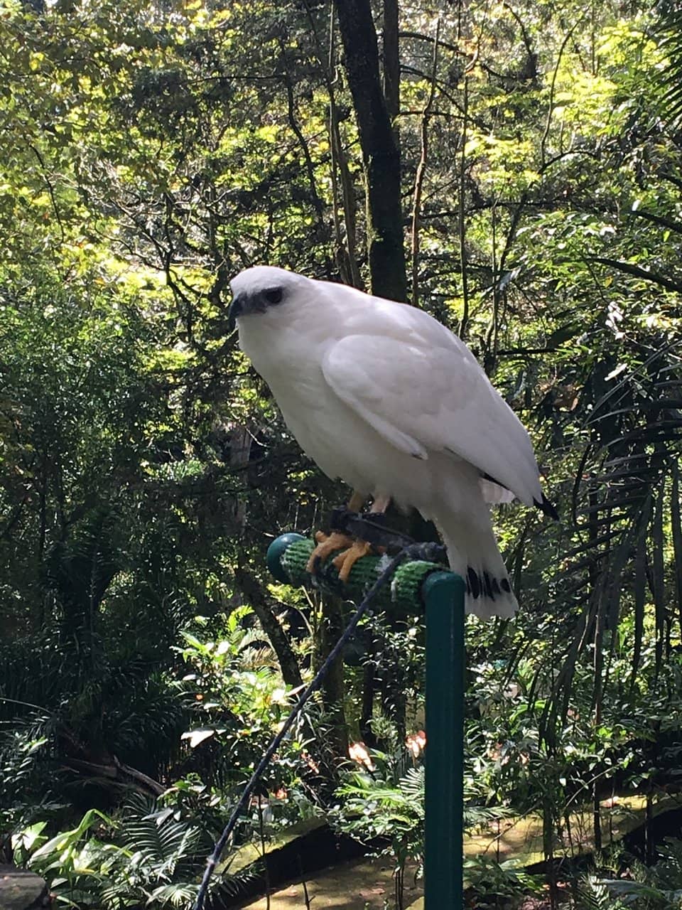 Poet Statues & Hidalgo Monument