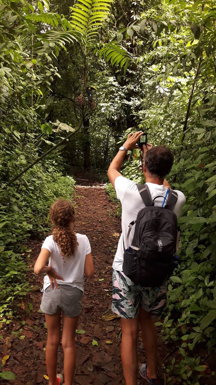 Shaded Woodland Trail