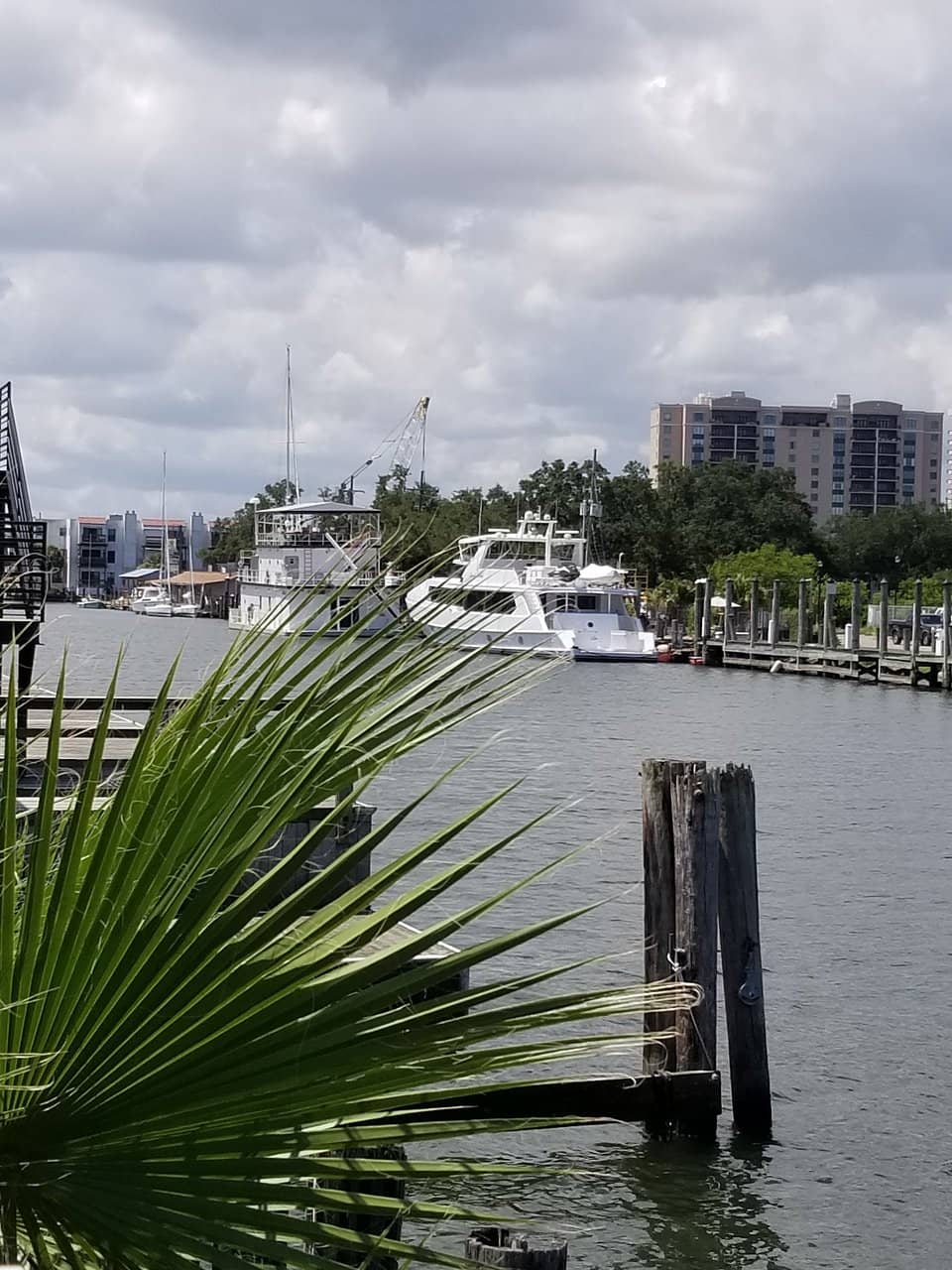 Coastal Preservation Efforts