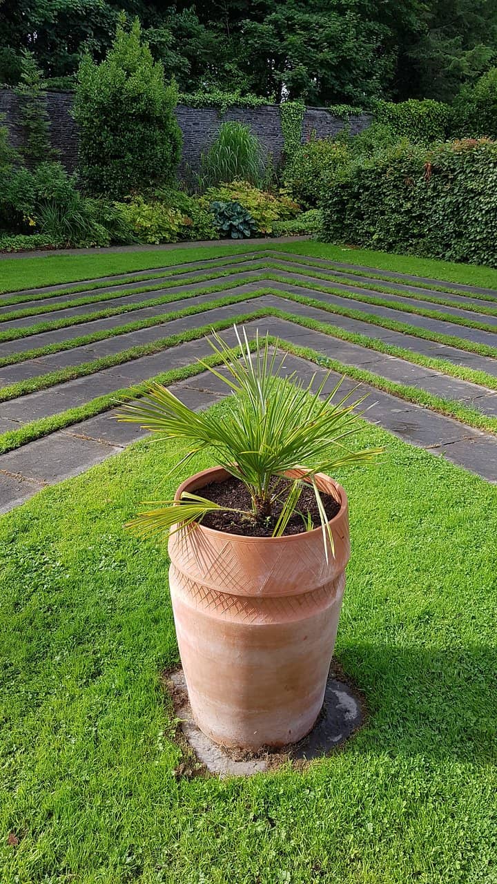 Edible Garden Beds