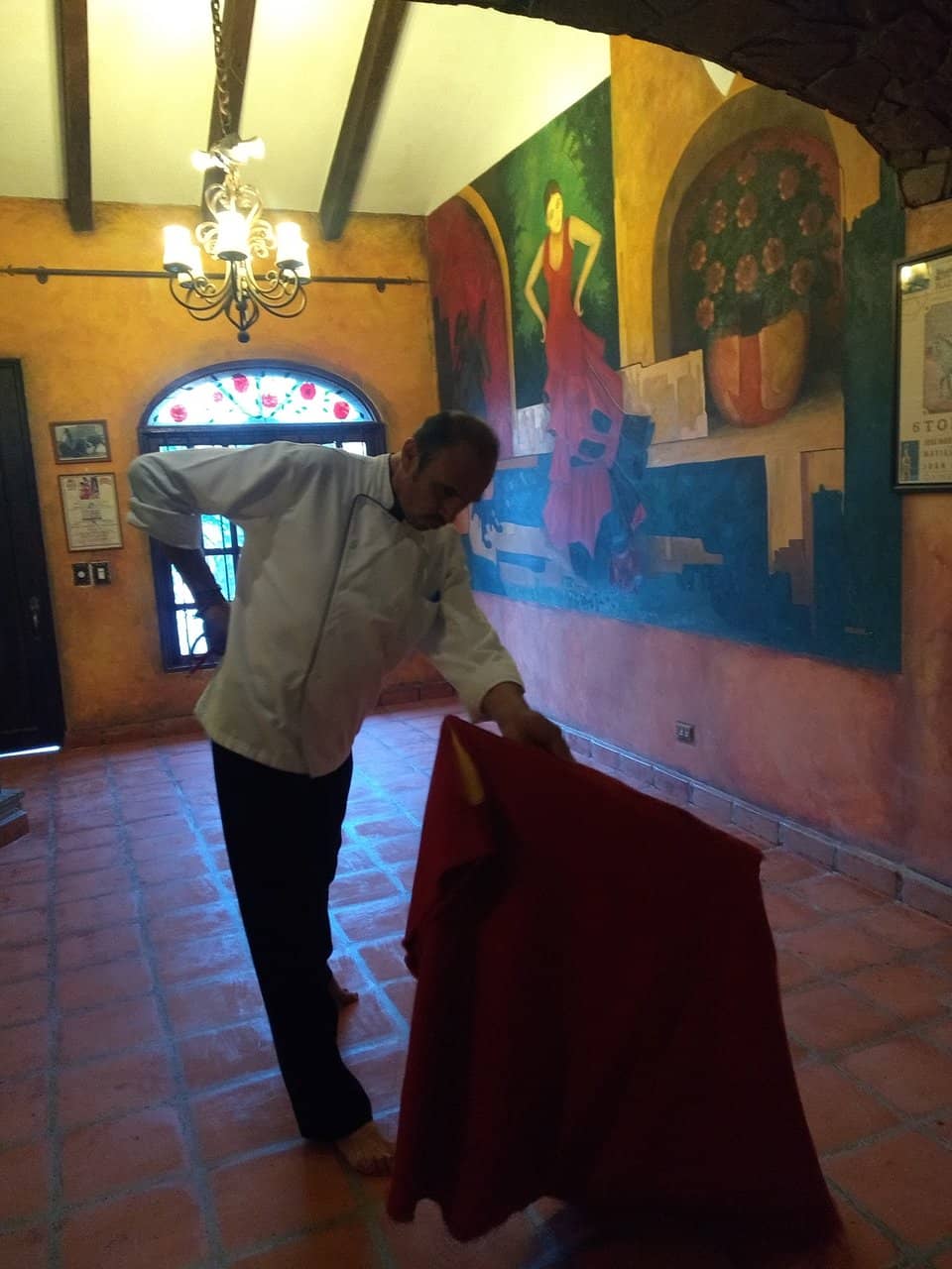 Bullfighter's Legacy